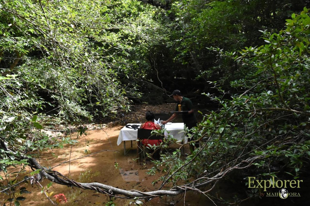 Explorer By Eco Team - Wasgamuwa National Park Dış mekan fotoğraf