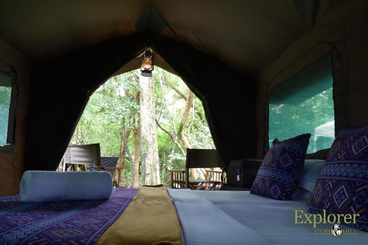 Explorer By Eco Team - Wasgamuwa National Park Dış mekan fotoğraf
