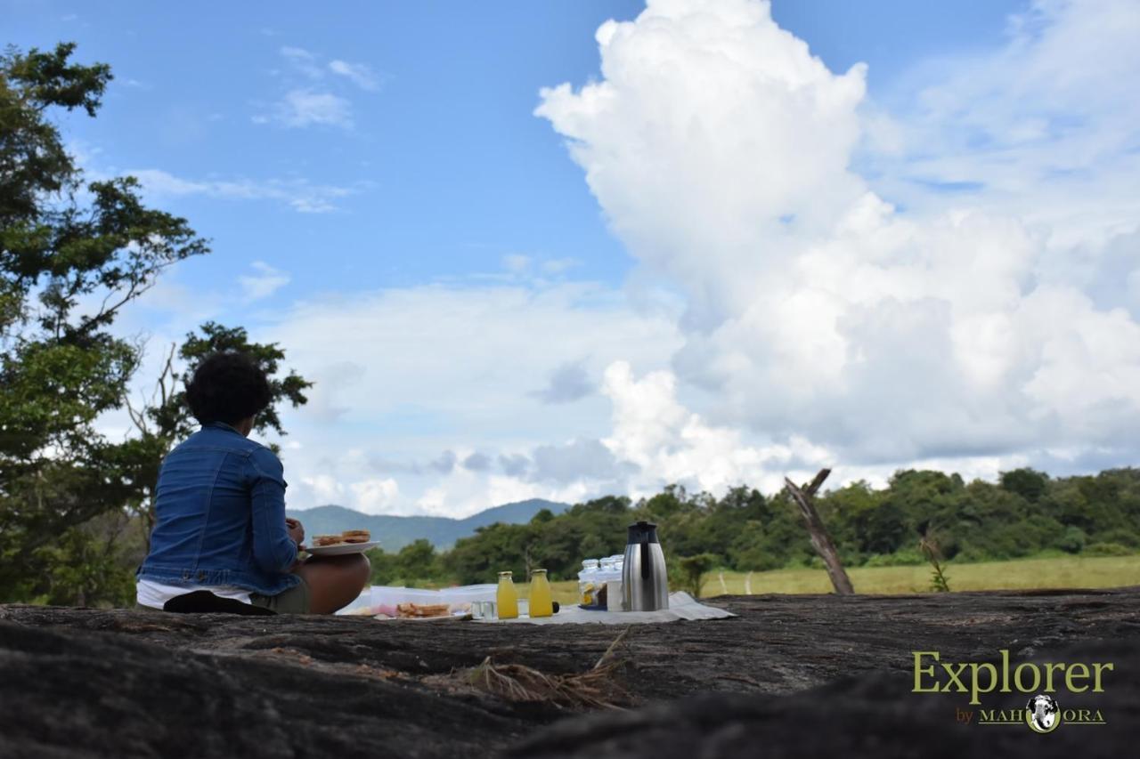Explorer By Eco Team - Wasgamuwa National Park Dış mekan fotoğraf