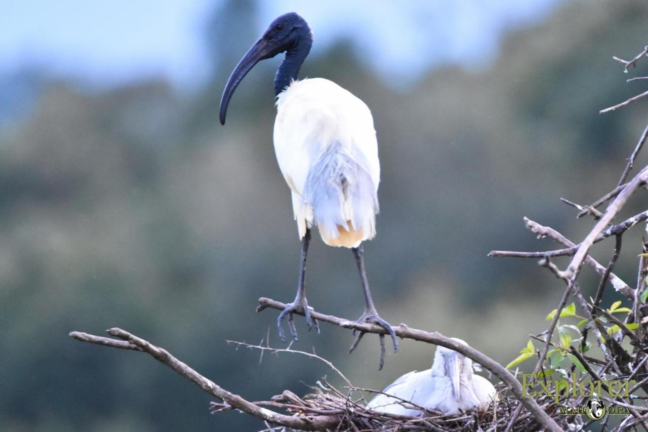 Explorer By Eco Team - Wasgamuwa National Park Dış mekan fotoğraf